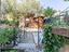 Immagine 12