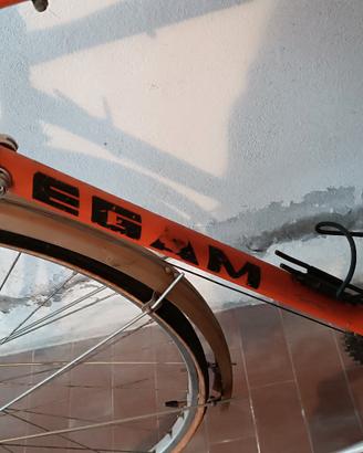 Bici EGAM gruppi Campagnolo ruote 26