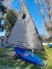 barca a vela sunfish