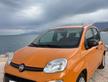 Fiat Panda 1.2 FIRE GPL Unico proprietario