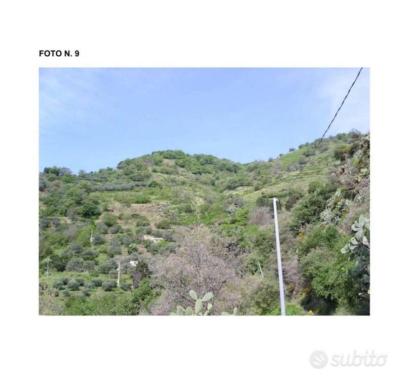 Immobile in asta di 100640 m² a Alì - Vista 4