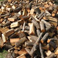 legna da ardere 🔥