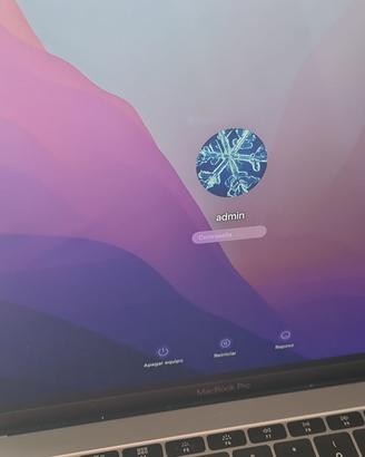 Display MacBook Pro 13 2017 A1708 A1706 Monitor