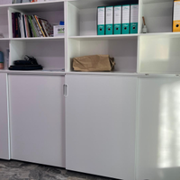 Armadio ikea da ufficio mod. GALANT