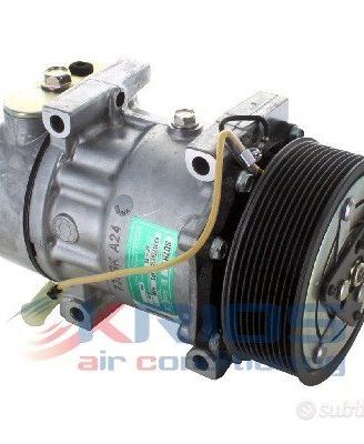 Compressore aria condizionata Trucks C 250P