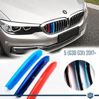 COVER Griglia Bmw SERIE 5 G30 G31 Fasce M SPORT