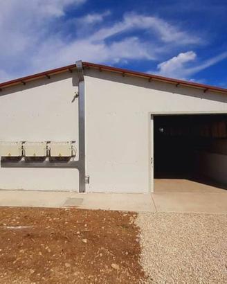 Immobile di 1200 m² con 3 locali a Fossacesia