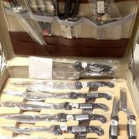 Set coltelli professionali e posate Regal Solingen