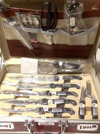 Set coltelli professionali e posate Regal Solingen