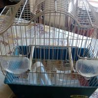 gabbia per canarini o piccoli uccelli +  accessori