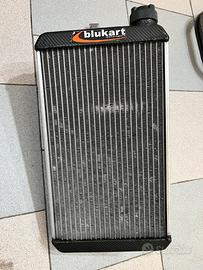 Radiatore new-line RS