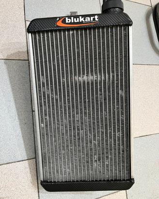 Radiatore new-line RS
