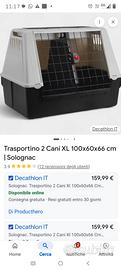 trasportino animali