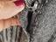 Immagine 5