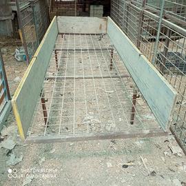 bancali coltivazione funghi cardoncello in serra