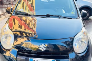 2010 Suzuki Alto
