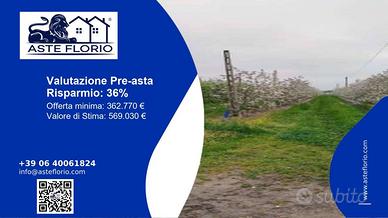 Immobile in asta di 160000 m² a Argenta