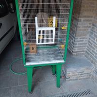 Gabbia per uccellini