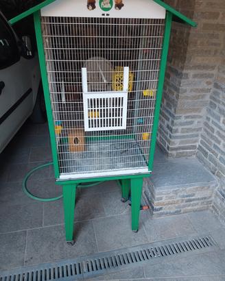 Gabbia per uccellini