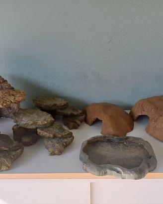 Lotto Accessori Terrario