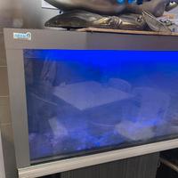 Acquario per pescheria