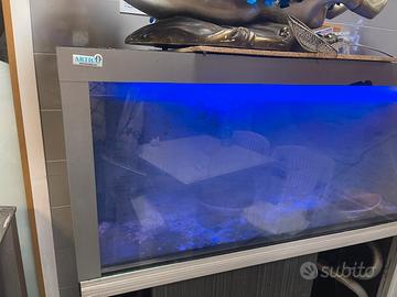 Acquario per pescheria