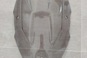 cupolino puig fumé ducati 