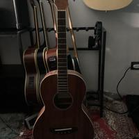 Basso acustico ibanez