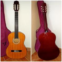 Chitarra acustica Aria