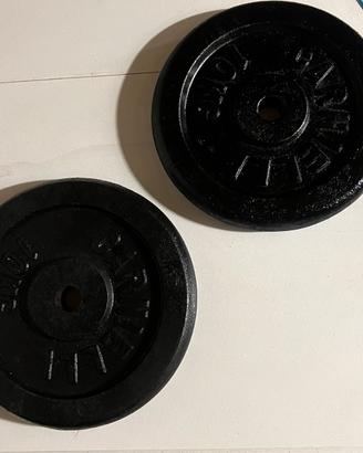 dischi  ghisa carnielli  da 10 kg