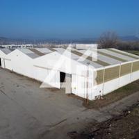 CAPANNONE E AMPIO TERRENO - MONFALCONE / PORTO