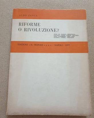 Riforme o rivoluzione? Aldo Zanca