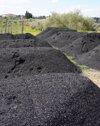 Biochar - carbone veg al L. Ottenuto da pirolisi.