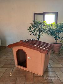 Casa per cane taglia media