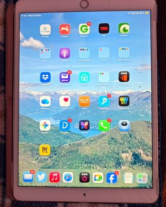 Ipad Air 3 gen 256 gb