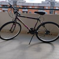 Bicicletta MTB ragazzo