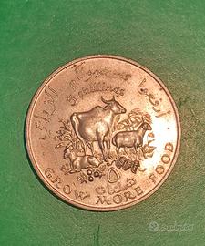 MONETA 5 SCELLINI SOMALIA 1970 COMMEMORATIVA FAO