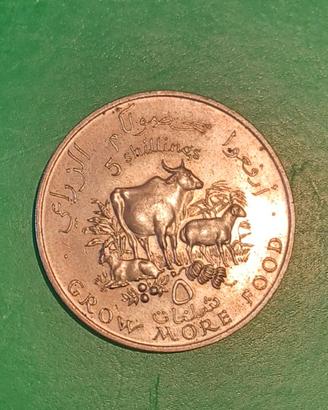 MONETA 5 SCELLINI SOMALIA 1970 COMMEMORATIVA FAO