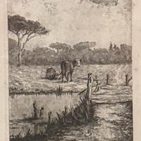 Quadro Gaspare Gambi - pineta Ravenna