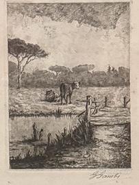 Quadro Gaspare Gambi - pineta Ravenna