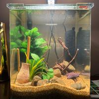 Acquario cubo 30 litri