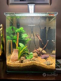 Acquario cubo 30 litri