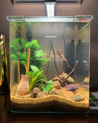 Acquario cubo 30 litri