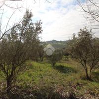 TER. RESIDENZIALE A MONTALTO UFFUGO
