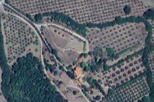 Azienda Agricola - Campagnatico