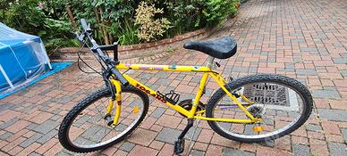 2 Bici MTB 