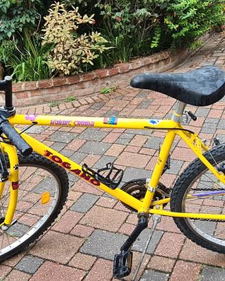 2 Bici MTB 