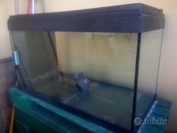 acquario