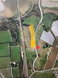 Terreno agricolo