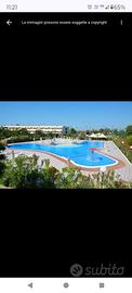 Alessidamo club